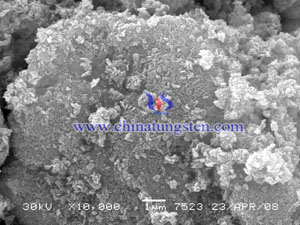 タングステン酸SEM-0.5μm