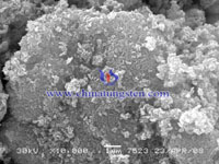 tungstic acid photo 0.5μm