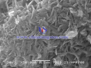 タングステン酸SEM-0.5μm