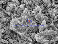 photo acide tungstique 10μm